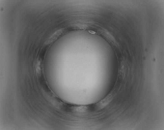 X0000082740122200702091913