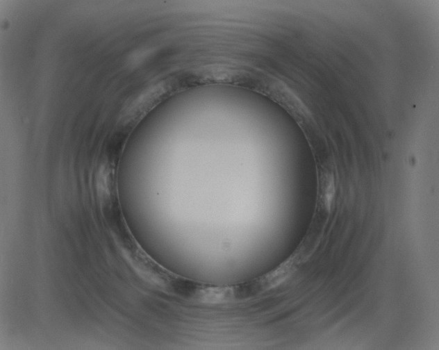 X0000082740126200702091913