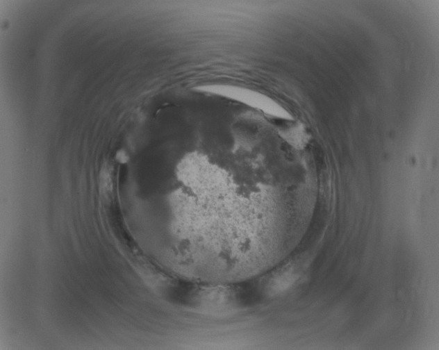 X0000082740127200702091913