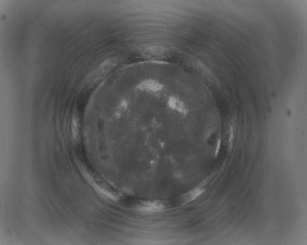 X0000082740130200702091913