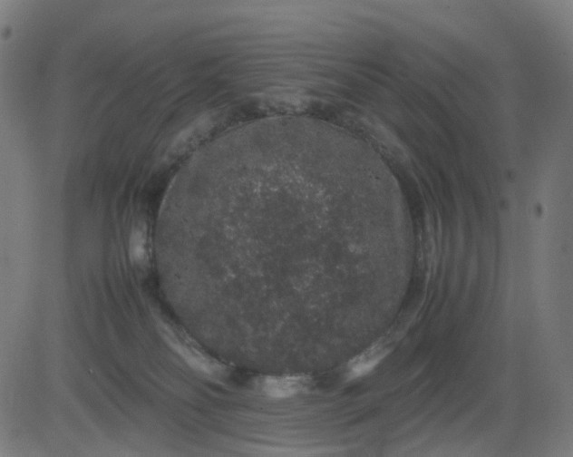 X0000082740134200702091913