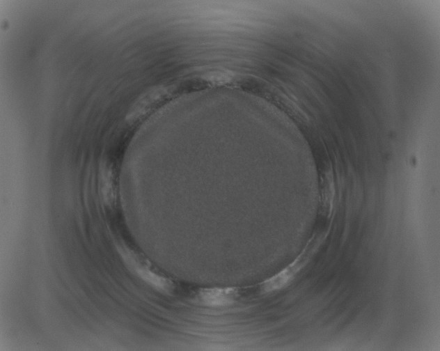 X0000082740136200702091913