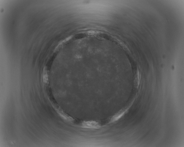 X0000082740137200702091913