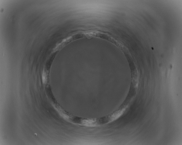 X0000082740139200702091913