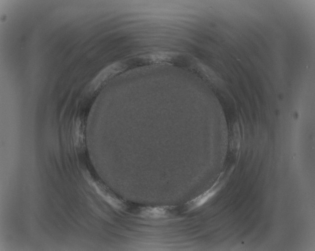 X0000082740140200702091913