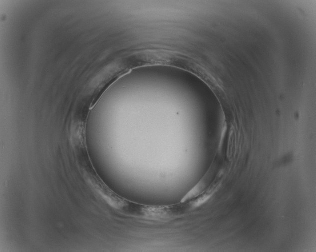 X0000082740141200702091913