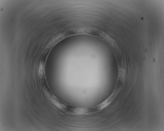 X0000082740142200702091913