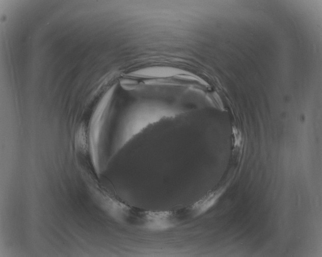 X0000082740143200702091912