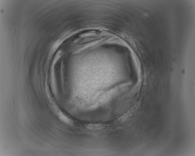 X0000082740145200702091912