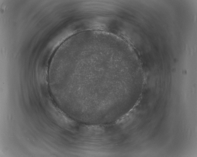 X0000082740146200702091912