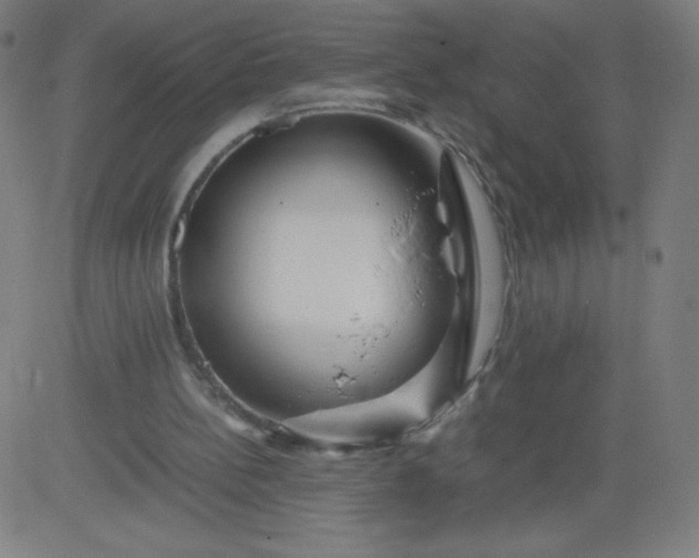 X0000082740148200702091912