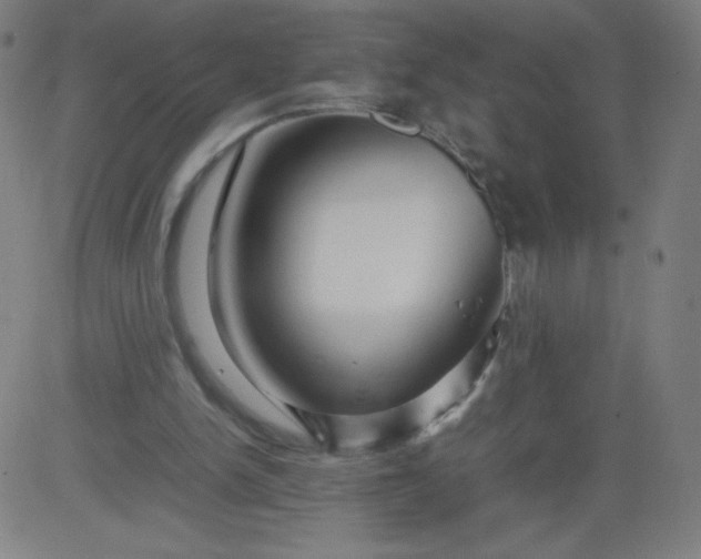 X0000082740150200702091912