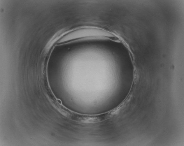 X0000082740151200702091912