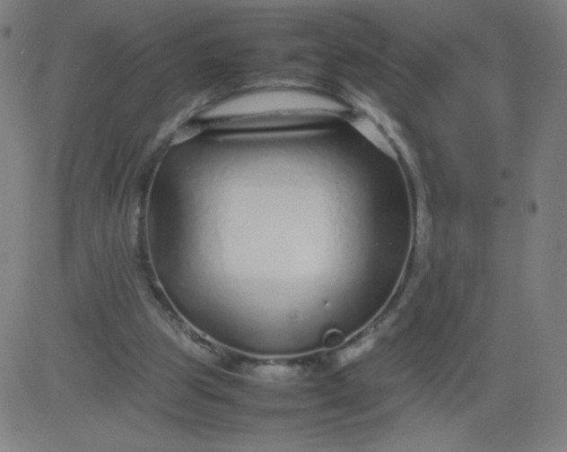 X0000082740153200702091912