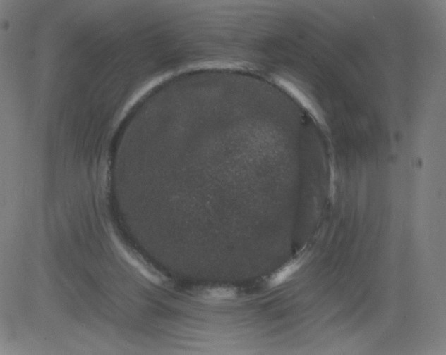 X0000082740156200702091912