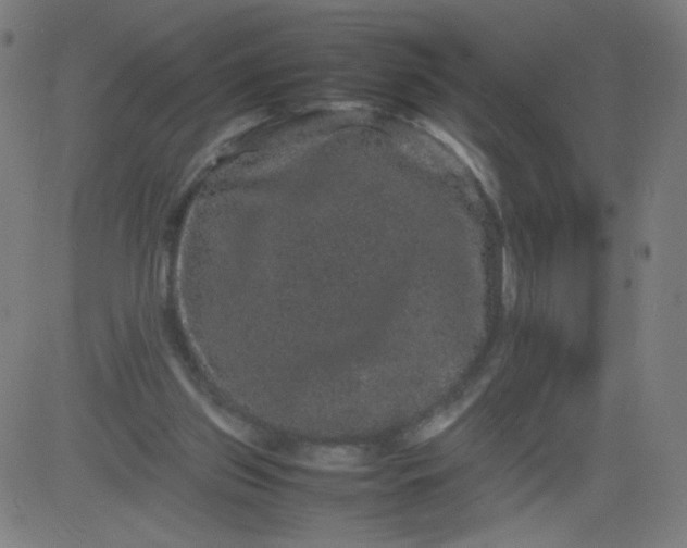 X0000082740157200702091912