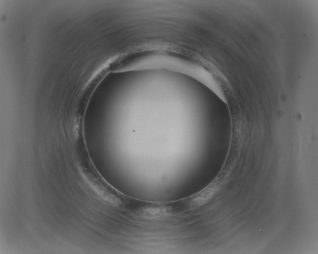 X0000082740160200702091912