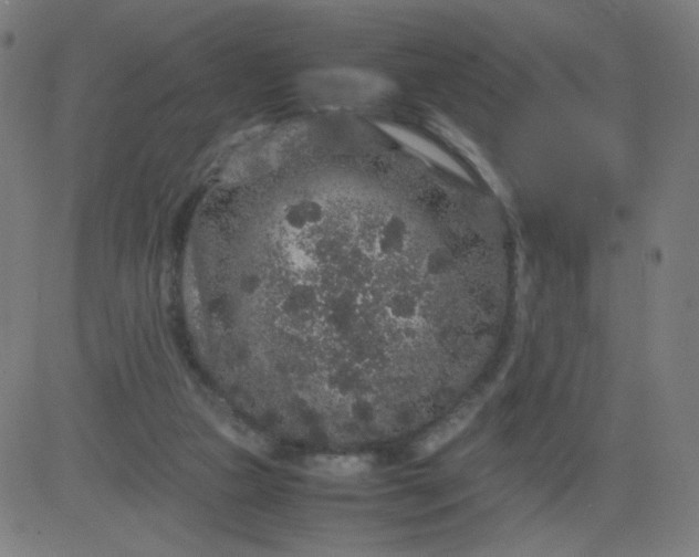 X0000082740161200702091912