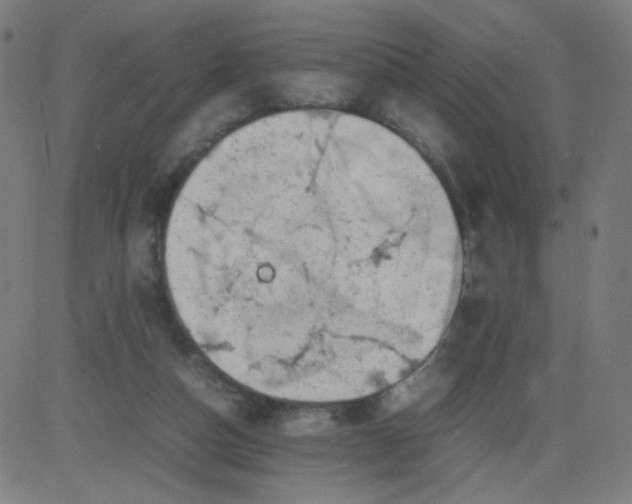 X0000082740162200702091912