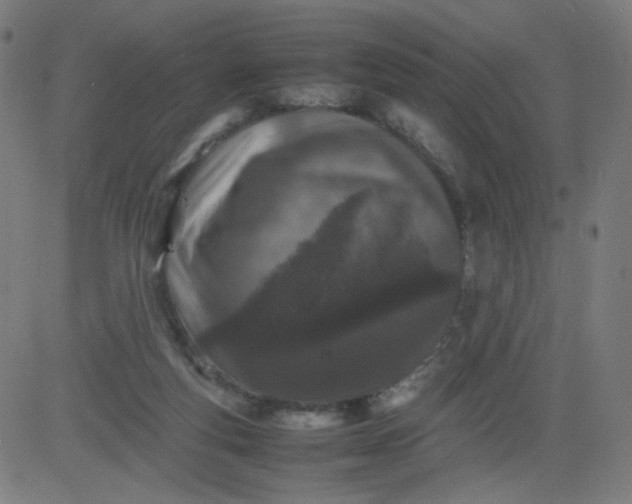 X0000082740163200702091912