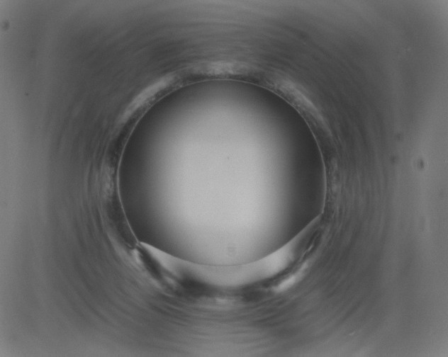 X0000082740164200702091912