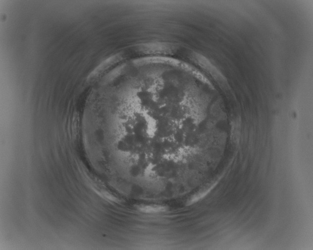 X0000082740165200702091912