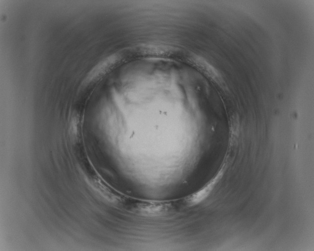 X0000082740166200702091912