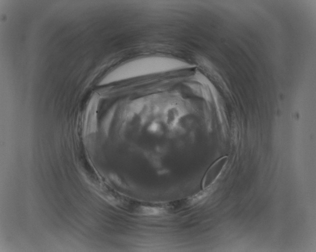 X0000082740167200702091912