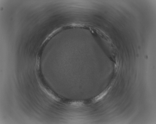 X0000082740168200702091912