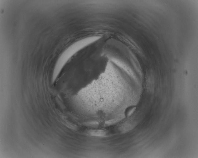 X0000082740169200702091912