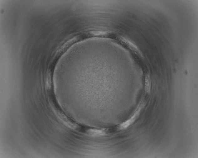 X0000082740170200702091912