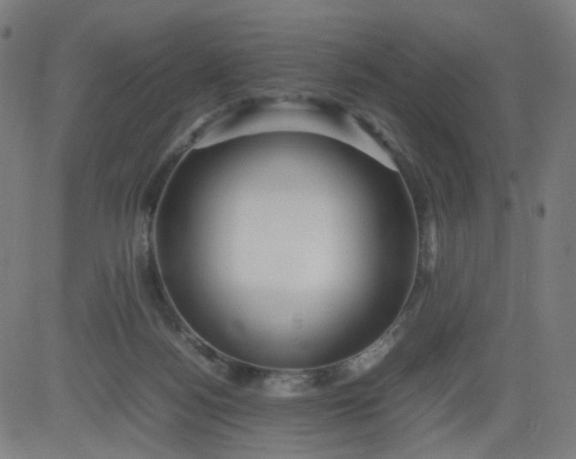 X0000082740172200702091912