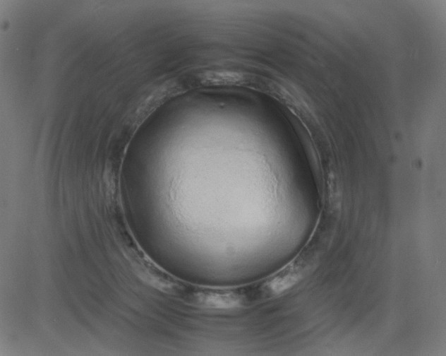 X0000082740173200702091912