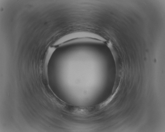 X0000082740174200702091912