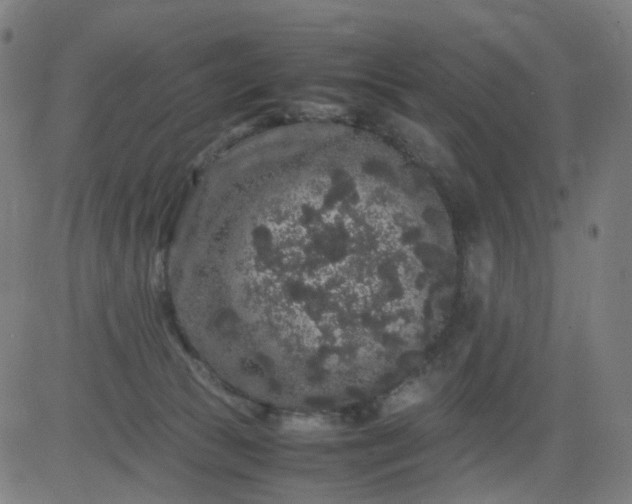 X0000082740177200702091912