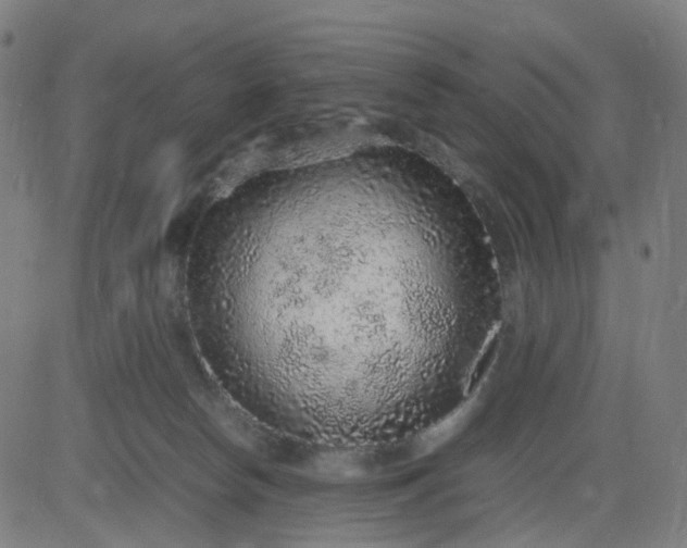 X0000082740178200702091912