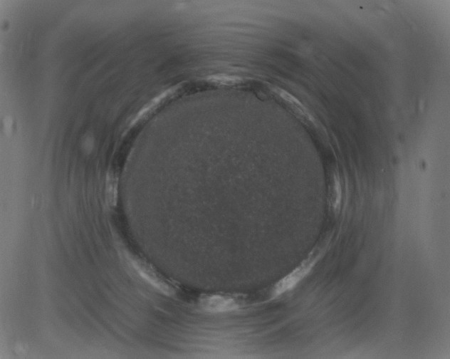 X0000082740180200702091912