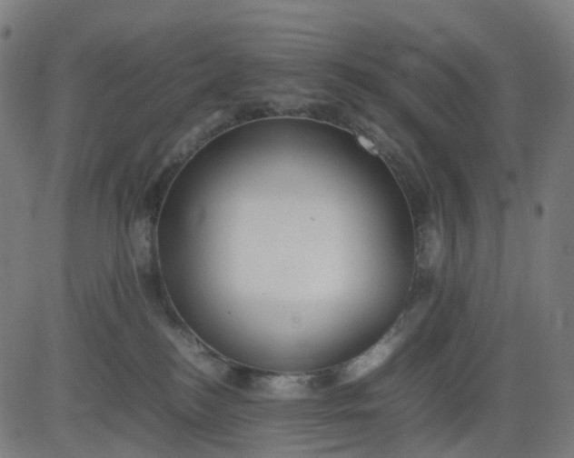 X0000082740184200702091912