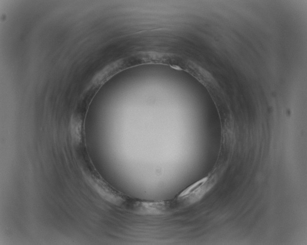 X0000082740188200702091912