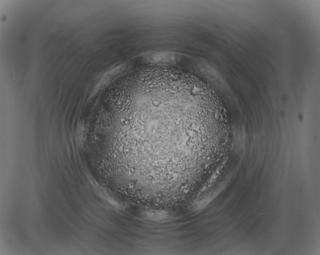 X0000082740189200702091912