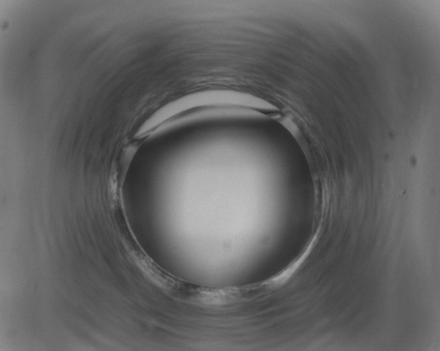 X0000082740190200702091912