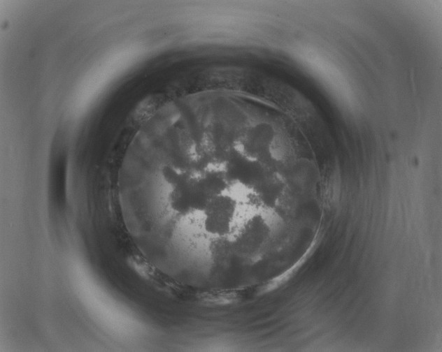 X0000082740191200702091912