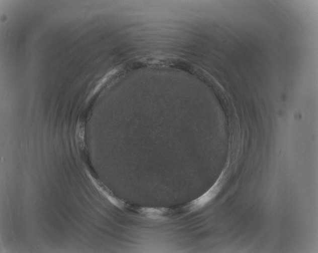 X0000082740192200702091912