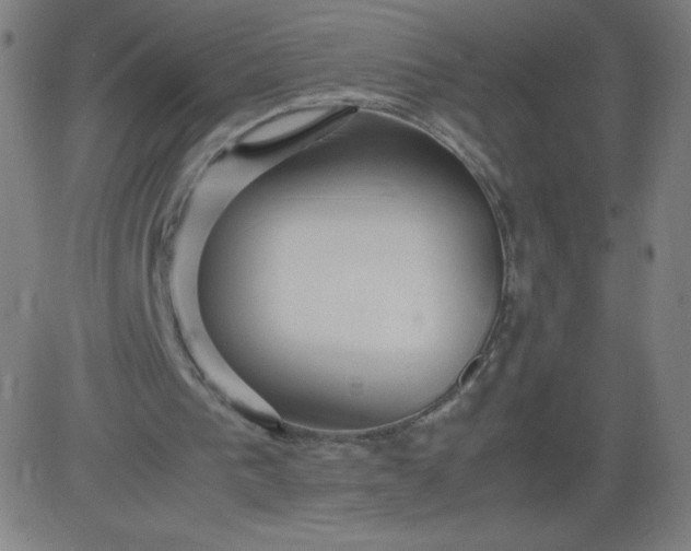 X0000082740193200702091912