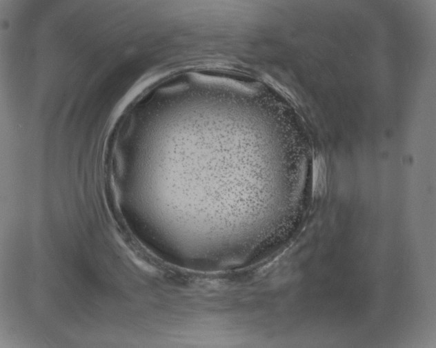 X0000082740195200702091912