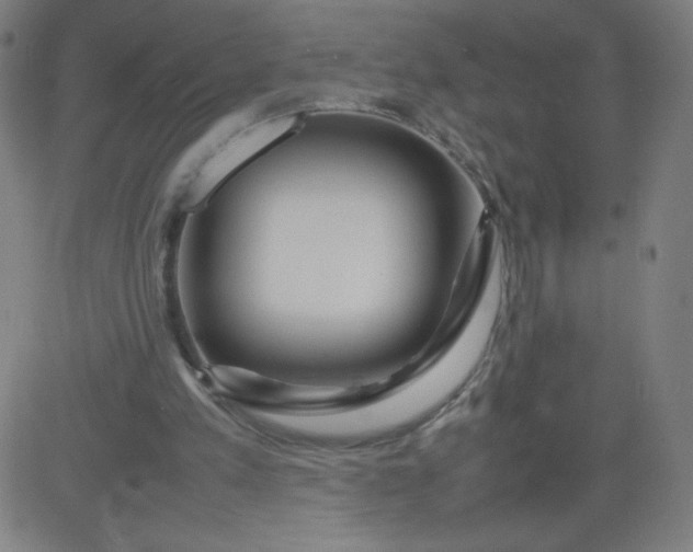 X0000082740197200702091912