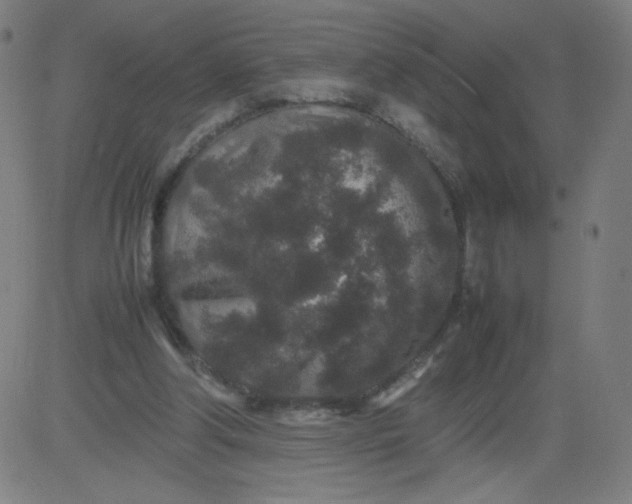 X0000082740202200702091912