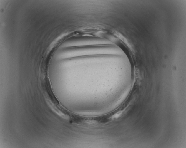 X0000082740203200702091912