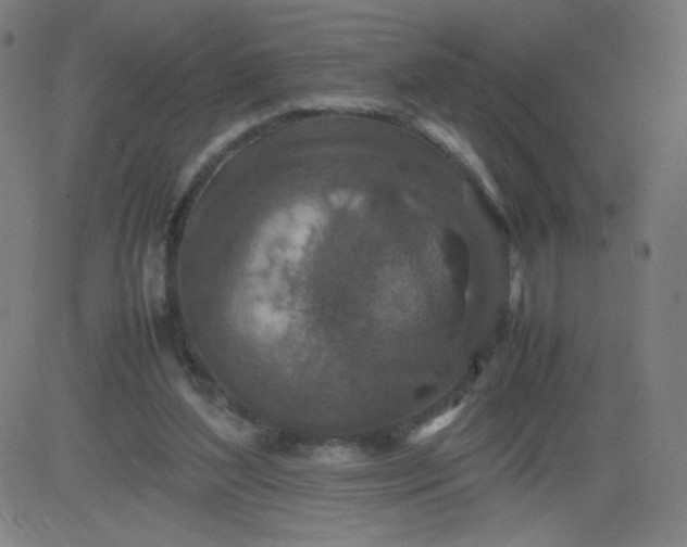 X0000082740204200702091911