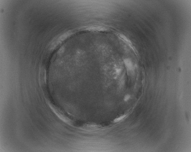 X0000082740205200702091911